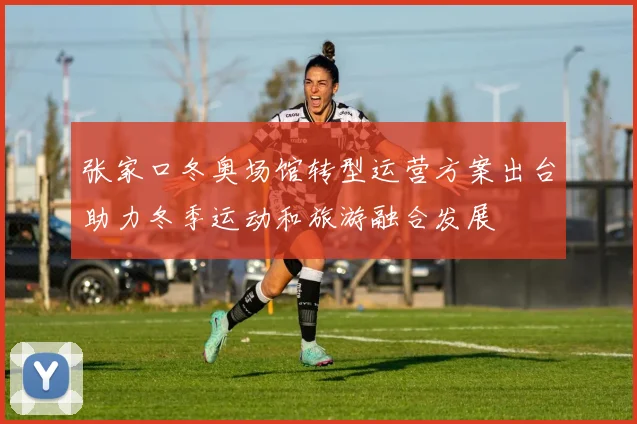 张家口冬奥场馆转型运营方案出台助力冬季运动和旅游融合发展
