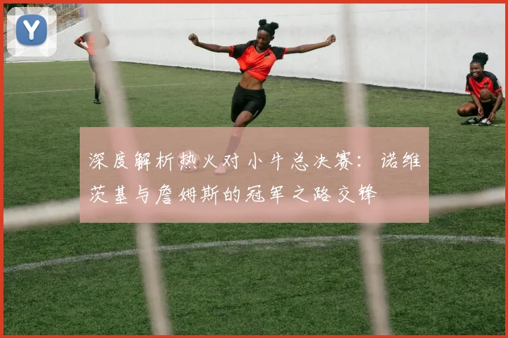 深度解析热火对小牛总决赛：诺维茨基与詹姆斯的冠军之路交锋