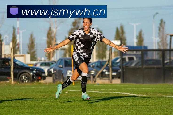 333体育官网是什么平台生态图