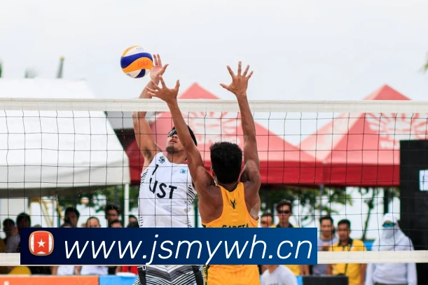 333体育官网是什么全站App